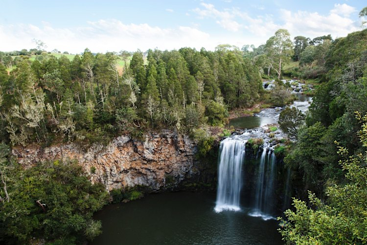 Dangar Falls, Dorrigo.