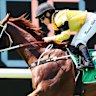 Cruel Summer winning a Midway handicap at Rosehill on March 30 last year.