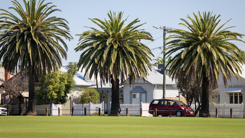 Moving to my suburb was a no-brainer – but first someone had to die