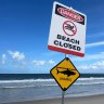 Woorim Beach at Bribie Island was closed after a fatal shark attack.