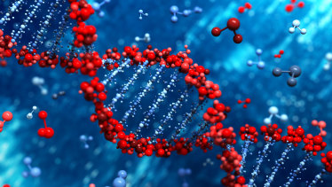Your genome is the complete set of genetic instructions encoded in the two metres of DNA in most of your cells.