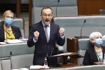 Greens leader Adam Bandt speaking during the debate over amendments to the government’s climate change bill.