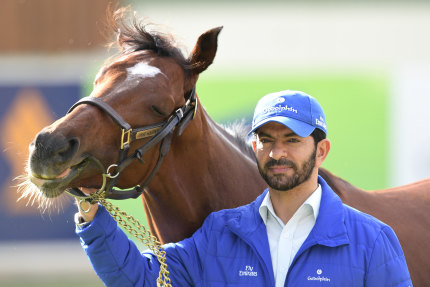 The right horse: Saeed bin Suroor has planned a Melbourne Cup coup with Best Solution since March.