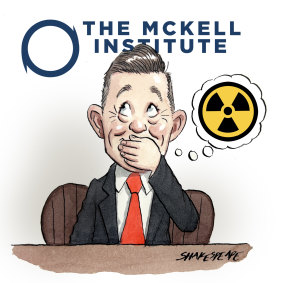 Nuclear power enthusiast Daniel Walton will lead Labor think tank The McKell Institute