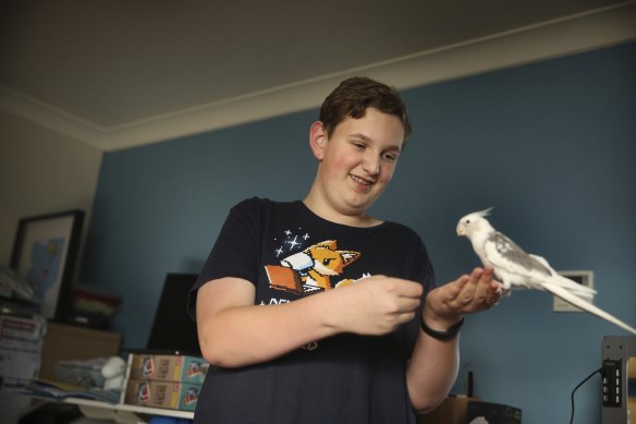 Ethan Phillips, aged 13 and nine months, is studying Advanced Mathematics and Extension 1 for the HSC