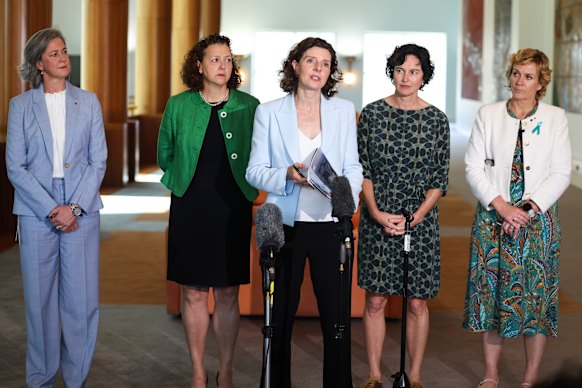 Teal independents who may form part of the new political party. 