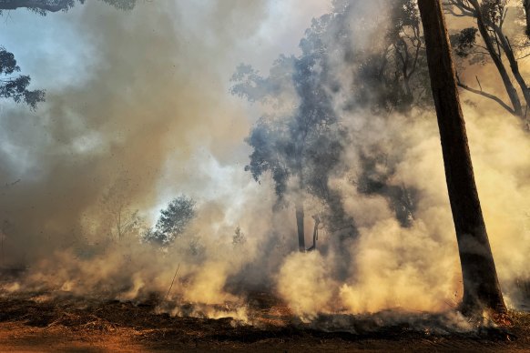 Smoke lingers of the fire reduction site.