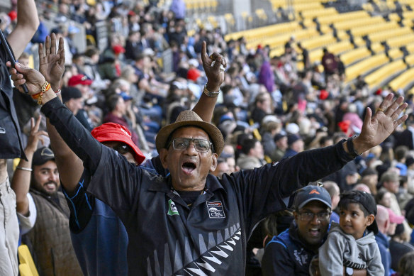 Fans enjoy the T20 in Wellington