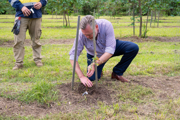 Planning Minister Anthony Roberts marks the completion of the NSW government’s 1 million tree planting program. 
