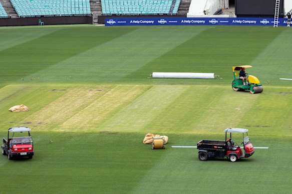 The SCG pitch, three days out from the fifth Ashes Test. 