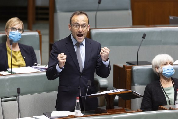 Greens leader Adam Bandt speaking during the debate over amendments to the government’s climate change bill.