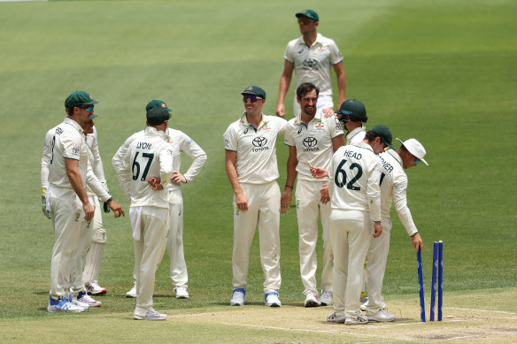 David Warner replaces the stump plucked by Mitchell Starc.