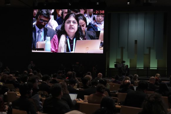 Chandni Raina, part of India’s negotiating team, speaks during a plenary session at COP29.