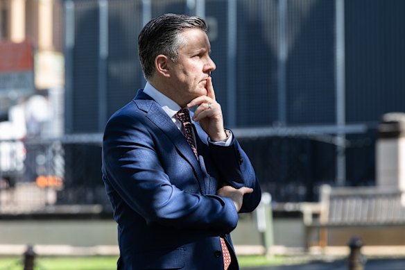 Health Minister Mark Butler.