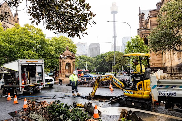 Sydney Water workers on Art Gallery Road