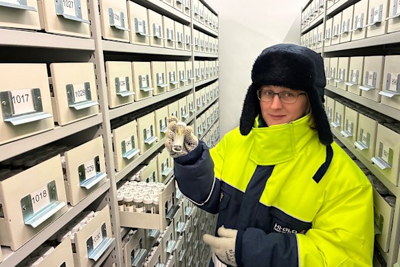 A curadora de sementes Lucy Taylor trabalhando no cofre do Millennium Seed Bank.