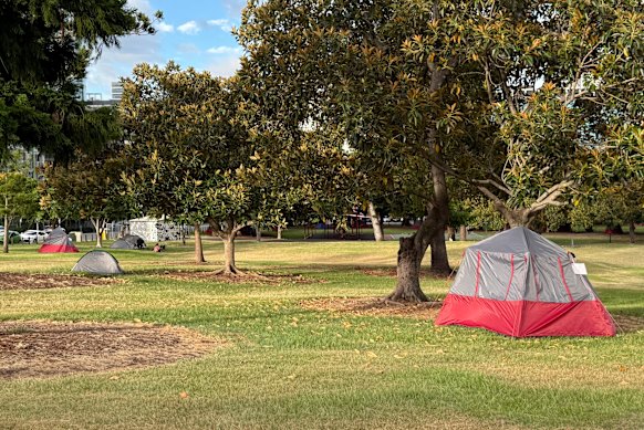 Tents in Musgrave Park, South Brisbane, last week.