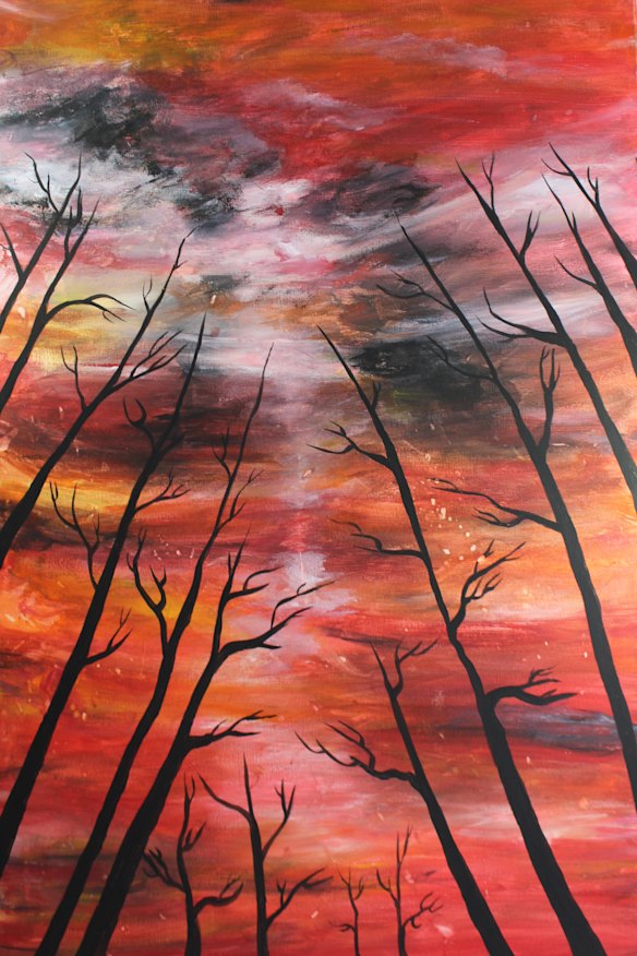 Farhad Bandesh, Australian bushfire.