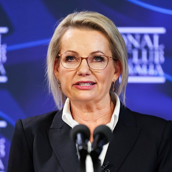 Sussan Ley: Please consider things from a different angle
