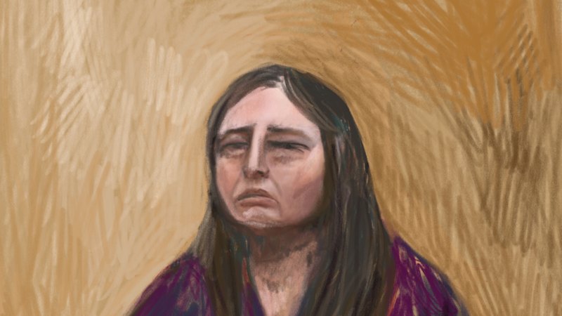 In her own words: Erin Patterson takes the stand in mushroom trial