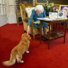 ‘I know what you want’: Queen’s dog steals show in 70th anniversary video