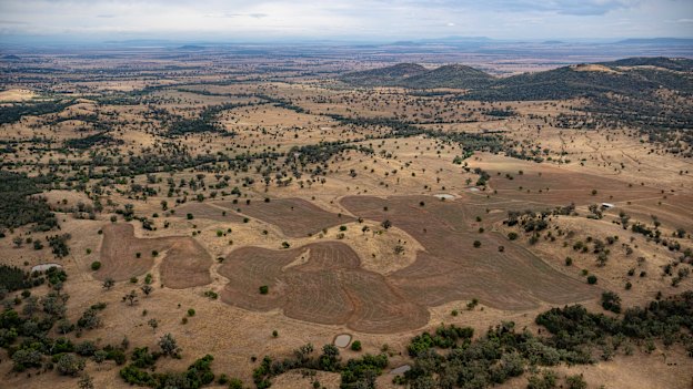 The Liverpool Plains near Gunnedah are blessed with black soils and reliable rains.
