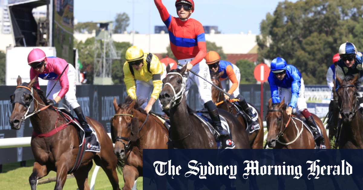 Horse of the year farce as Racing Australia recall ballots