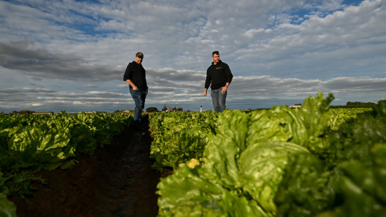Flooding affected the price of vegetables like lettuce.