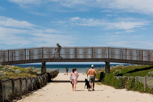 Burns Reserve dog beach.