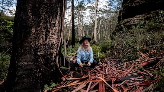 Christie Little in bushland behind her Blackheath property.
