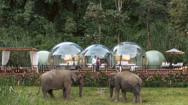 Bubble stay in the Thai jungle is a bucket-list item worth saving for