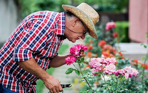 Plants need fertiliser to grow? Lesson learnt, if 50 years late.