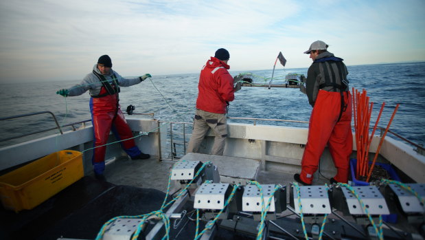 Underwater cameras being placed into the ocean for Star of the South exploratory fish surveys. 