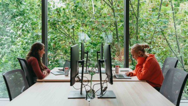 SafetyCulture decided to push ahead with building its new $38 million office, based in Surry Hills, in the middle of the pandemic despite the mass shift to remote work.