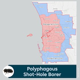 The new shot-hole borer quarantine zones.