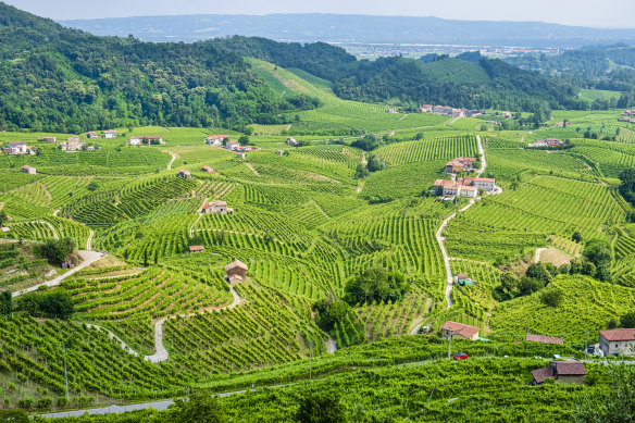 Vineyards in the Prosecco Hills of Conegliano and Valdobbiadene became as UNESCO World Heritage Site in 2019.