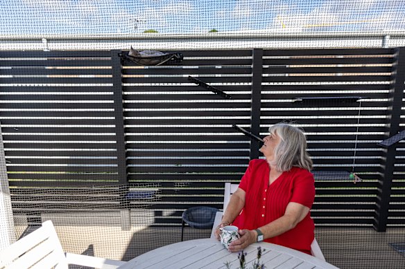 Lyndall Jones says George took to his catio immediately.