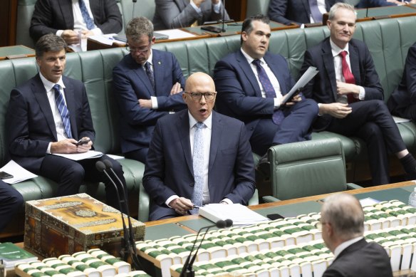 Opposition Leader Peter Dutton trades barbs with Prime Minister Anthony Albanese in question time on Thursday.