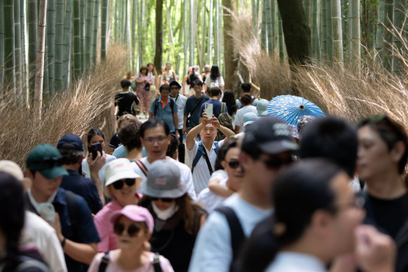 Crowds in Kyoto’s bamboo forest. Japan had a record number of tourists this year.