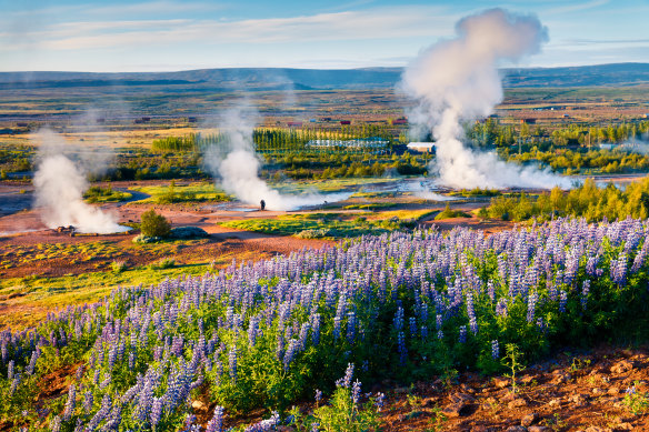 Rotorua? Yellowstone? No, this is Iceland’s Haukadalur Valley. 