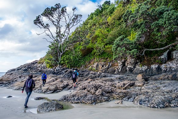 Covering the coast on Waiheke Island’s Te Ara Hura trail.