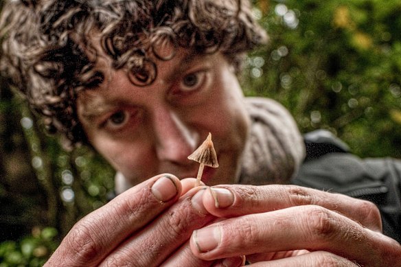 Fungi, says Merlin Sheldrake, have “often been associated with mysterious powers”.