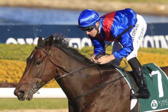 Lost And Running will again run in the TAB slot for The Everest this year