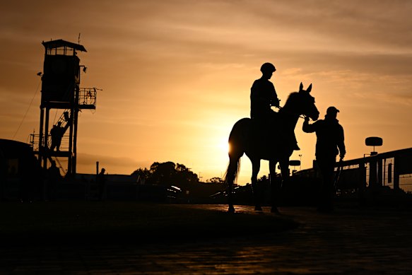 Jye McNeil on Ohope Wins during trackwork in the days before the Caulfield Cup.