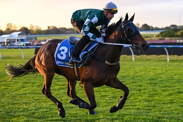 Jye McNeil rides Ohope Wins during trackwork last week before the Caulfield Cup fatality.