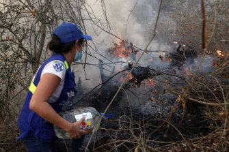 Amazon Fires Bolivia S President Evo Morales To Accept