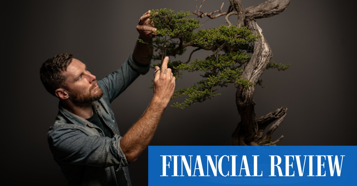 Blue Mountains bonsai master Hugh Grant on how he fell for the ancient Japanese practice of cultivating tiny trees. - Vimarsana News