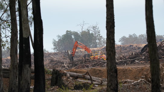Alcoa has cleared 280 square kilometres of jarrah forest in WA.