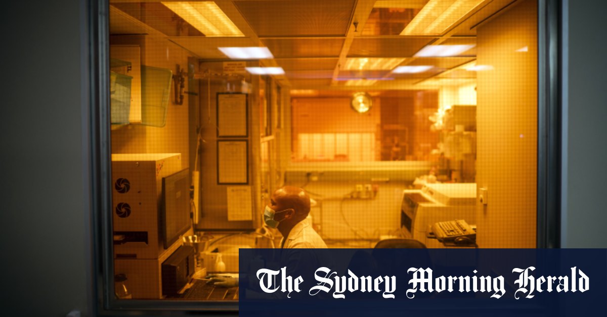 Studies suggest why Omicron is less severe: it spares the lungs