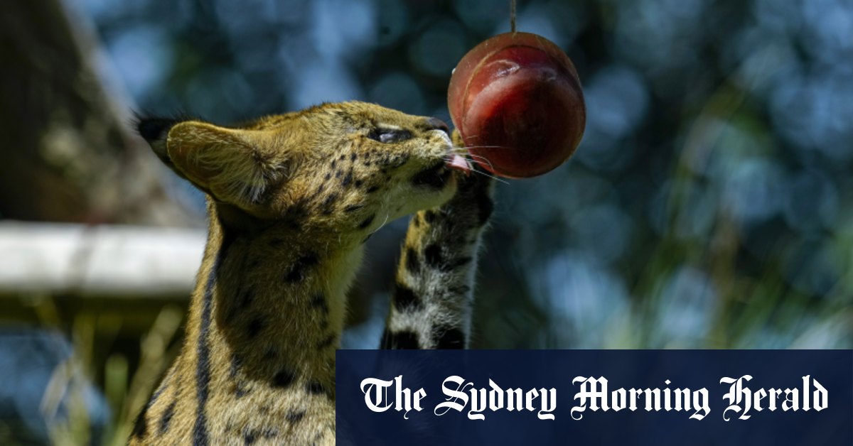 World of photos, February 4, 2024